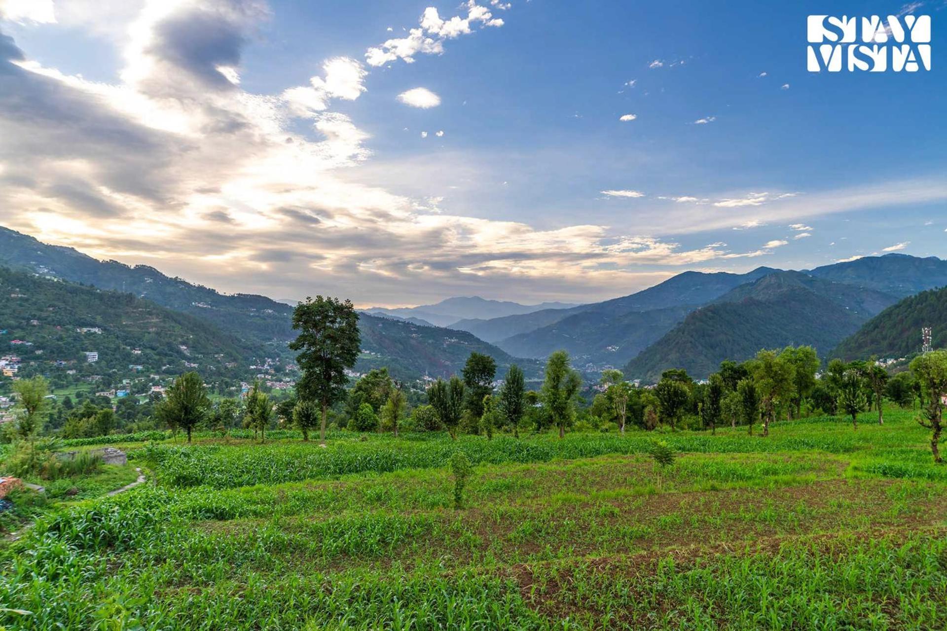 Stayvista At The Oakridge 4 Bhk Villa In Dharamshala With Jacuzzi & Balcony Chamba  Zewnętrze zdjęcie